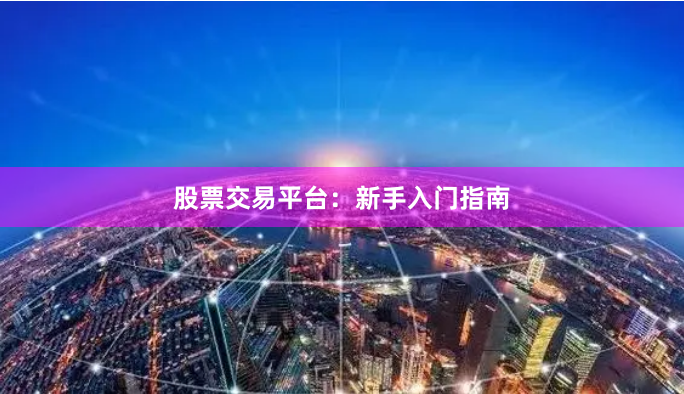 股票交易平台：新手入门指南