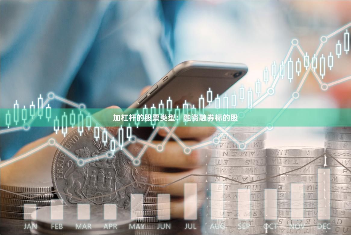 加杠杆的股票类型：融资融券标的股